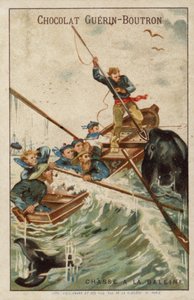 Caza de ballenas